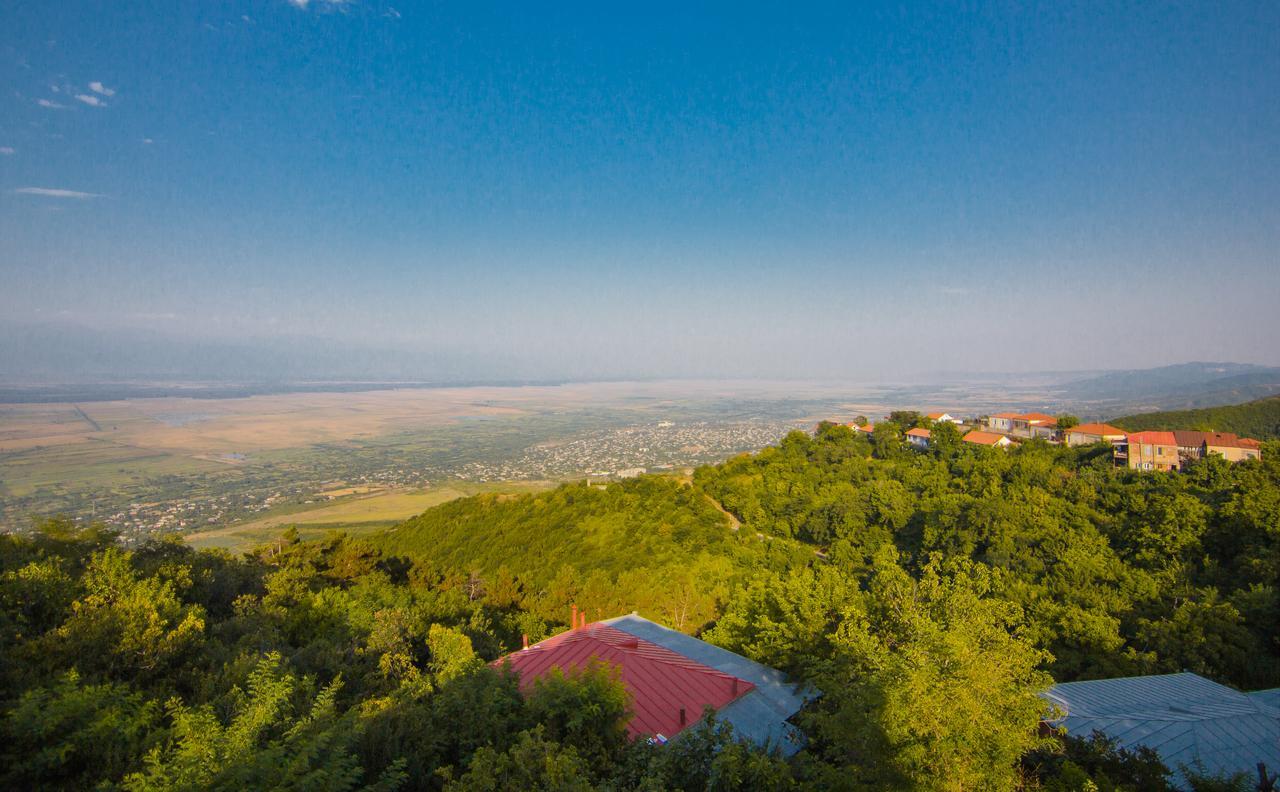 Boutique Hotel Bellevue Sighnaghi Εξωτερικό φωτογραφία
